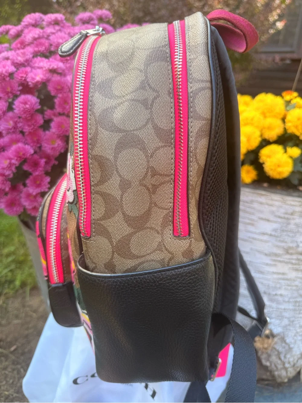 Coach Court Backpack C5681